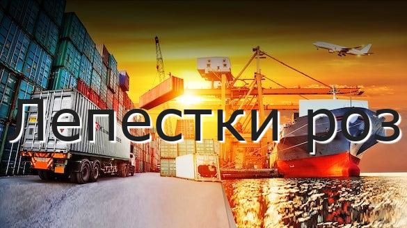 Лепестки роз