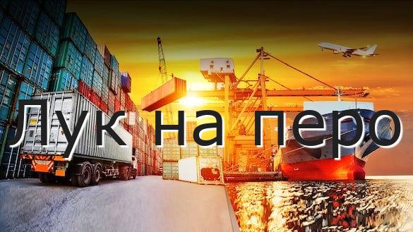 Лук на перо